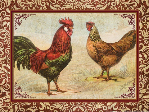 Chicken I White Modern Wood Framed Art Print with Double Matting by Yellow Cafe