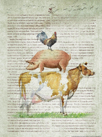 Farm Stand I White Modern Wood Framed Art Print with Double Matting by Yellow Cafe