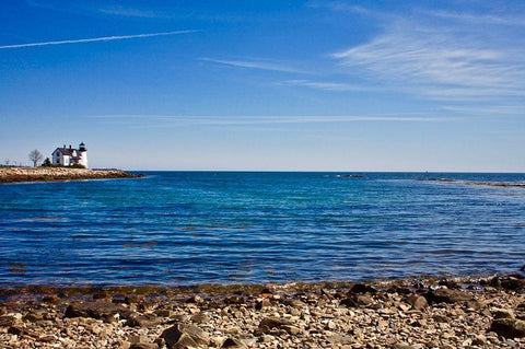 From a Distance Black Ornate Wood Framed Art Print with Double Matting by Yellow Cafe