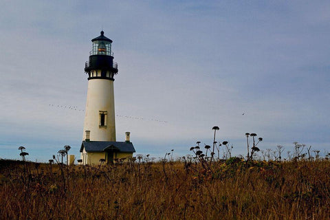 Lighthouse V Black Ornate Wood Framed Art Print with Double Matting by Yellow Cafe