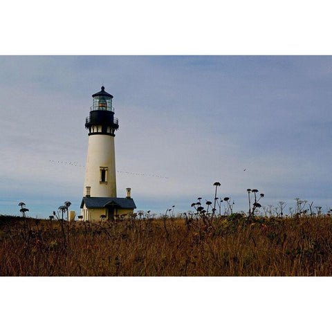 Lighthouse V Black Modern Wood Framed Art Print with Double Matting by Yellow Cafe
