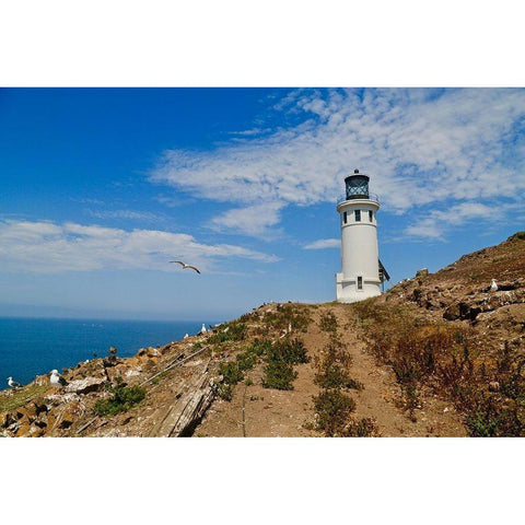 Lighthouse VI Black Modern Wood Framed Art Print by Yellow Cafe