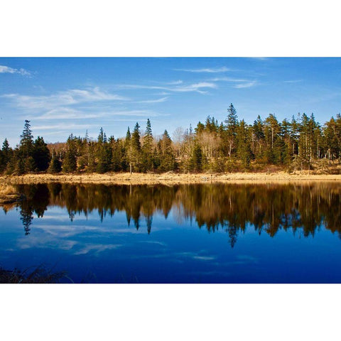 Lake Reflections Black Modern Wood Framed Art Print with Double Matting by Yellow Cafe