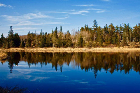 Lake Reflections White Modern Wood Framed Art Print with Double Matting by Yellow Cafe