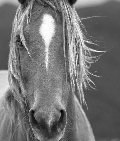 Close Up White Modern Wood Framed Art Print with Double Matting by Yellow Cafe