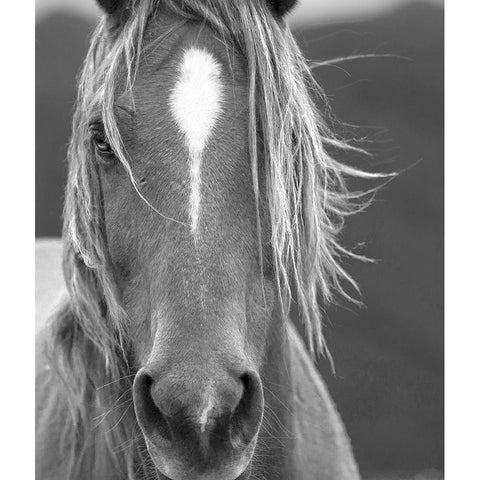 Close Up Black Modern Wood Framed Art Print by Yellow Cafe