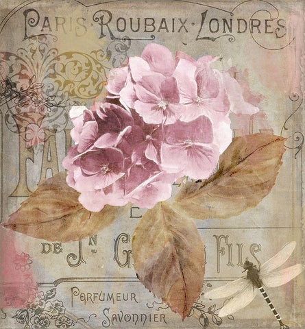 Jardin Rouge II White Modern Wood Framed Art Print with Double Matting by Sommers, Mindy