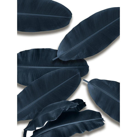 Banana Leaves I  Black Modern Wood Framed Art Print by Sommers, Mindy