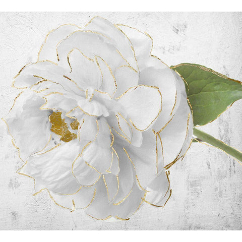 Gilded Peony I Gold Ornate Wood Framed Art Print with Double Matting by Sommers, Mindy