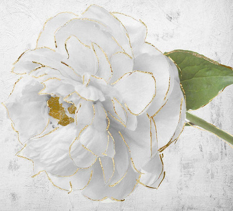 Gilded Peony I Black Ornate Wood Framed Art Print with Double Matting by Sommers, Mindy