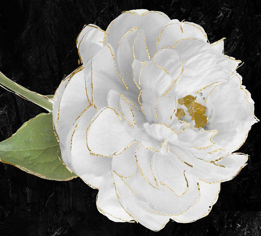 Image Only