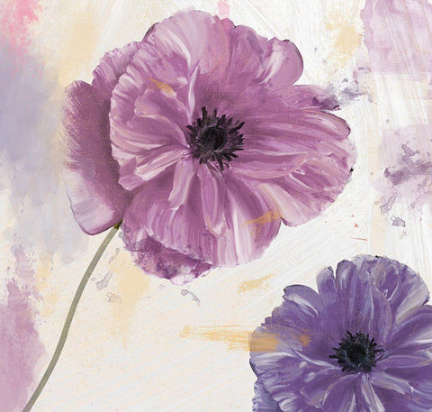 Plum Poppies II White Modern Wood Framed Art Print with Double Matting by Sommers, Mindy