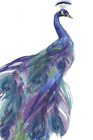 Peacock Dance Black Ornate Wood Framed Art Print with Double Matting by Sommers, Mindy