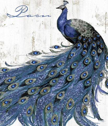 Cobalt Peacock White Modern Wood Framed Art Print with Double Matting by Sommers, Mindy