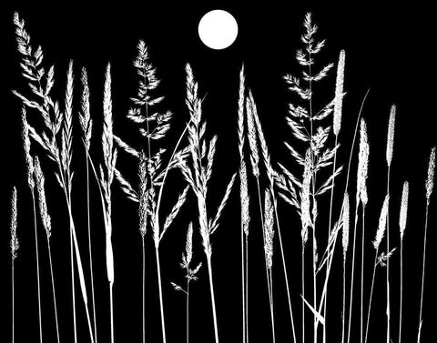 Grassy Moon I White Modern Wood Framed Art Print with Double Matting by Sommers, Mindy