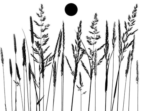Grassy Moon II Black Ornate Wood Framed Art Print with Double Matting by Sommers, Mindy