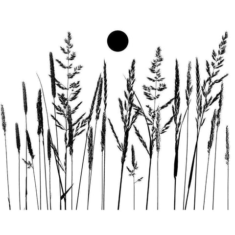 Grassy Moon II Black Modern Wood Framed Art Print by Sommers, Mindy
