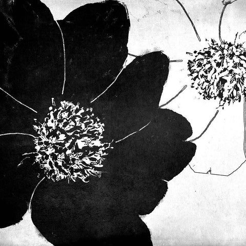 Peony Party Black Modern Wood Framed Art Print with Double Matting by Sommers, Mindy
