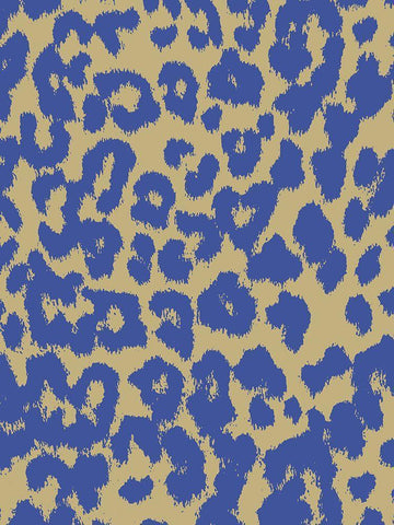 Peacock Leopard Black Ornate Wood Framed Art Print with Double Matting by Sommers, Mindy