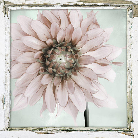 Garden and Mint II Black Modern Wood Framed Art Print with Double Matting by Sommers, Mindy