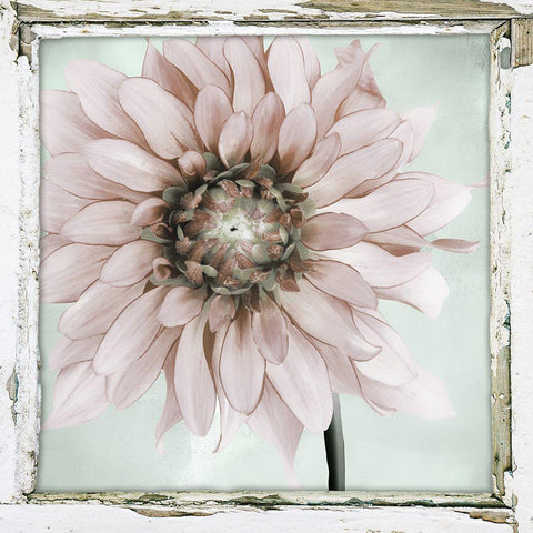 Garden and Mint II Black Ornate Wood Framed Art Print with Double Matting by Sommers, Mindy