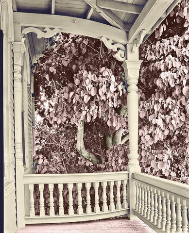 Rest a Spell Black Ornate Wood Framed Art Print with Double Matting by Sommers, Mindy