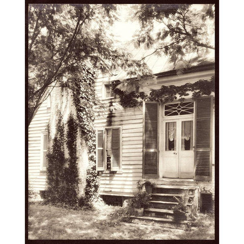 Moss Covered House Black Modern Wood Framed Art Print by Sommers, Mindy