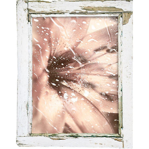 Antique Pink II Black Modern Wood Framed Art Print by Sommers, Mindy