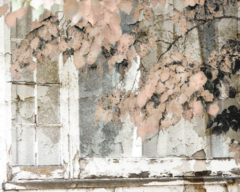 Distressed Cottage White Modern Wood Framed Art Print with Double Matting by Sommers, Mindy