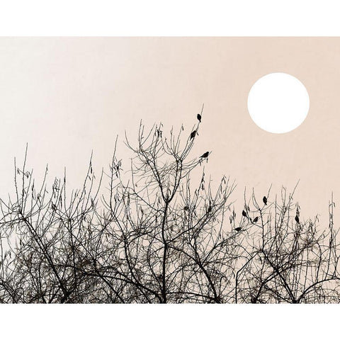 Twilight Ravens White Modern Wood Framed Art Print by Sommers, Mindy