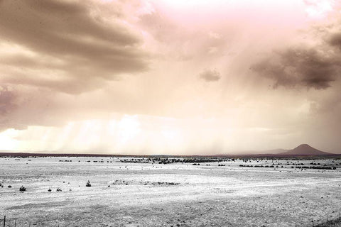 Ginger Twilight White Modern Wood Framed Art Print with Double Matting by Sommers, Mindy