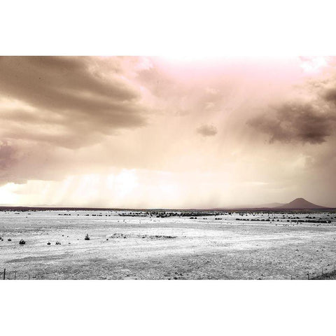 Ginger Twilight Black Modern Wood Framed Art Print by Sommers, Mindy