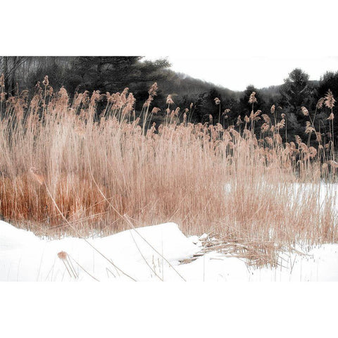 Ginger Vermont Black Modern Wood Framed Art Print with Double Matting by Sommers, Mindy