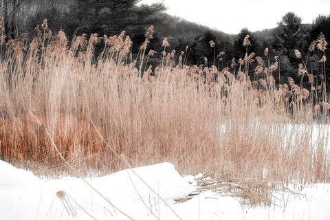 Ginger Vermont White Modern Wood Framed Art Print with Double Matting by Sommers, Mindy