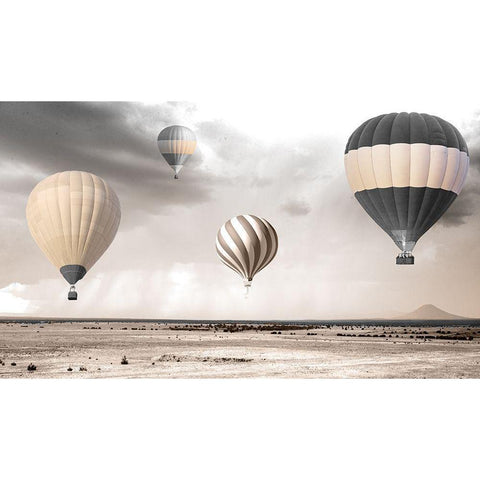 Peach Sky Balloons Black Modern Wood Framed Art Print with Double Matting by Sommers, Mindy