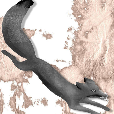 Silver Fox I  Black Modern Wood Framed Art Print with Double Matting by Sommers, Mindy