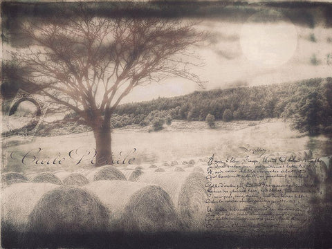 Moon Bales Black Ornate Wood Framed Art Print with Double Matting by Sommers, Mindy