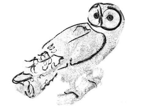 Owl Black Ornate Wood Framed Art Print with Double Matting by Sommers, Mindy