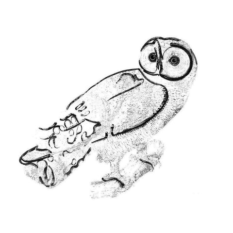 Owl White Modern Wood Framed Art Print by Sommers, Mindy