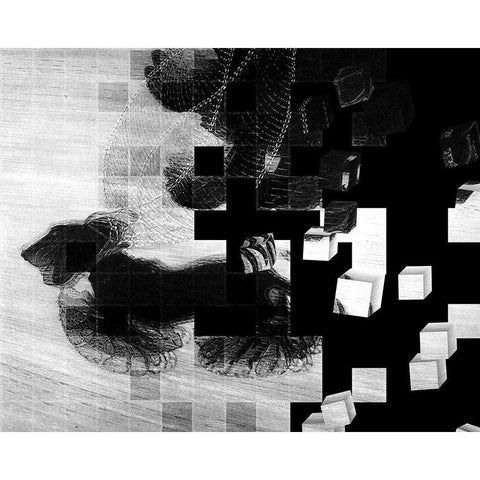 Walk the Dog Black Modern Wood Framed Art Print by Sommers, Mindy