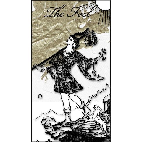 The Fool Black Modern Wood Framed Art Print with Double Matting by Sommers, Mindy