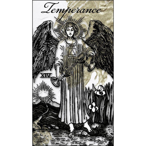 Temperance Gold Ornate Wood Framed Art Print with Double Matting by Sommers, Mindy