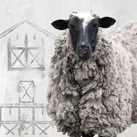 On the Farm Black Modern Wood Framed Art Print with Double Matting by Sommers, Mindy