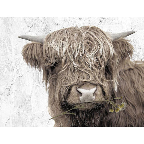 Theodore Gold Ornate Wood Framed Art Print with Double Matting by Sommers, Mindy