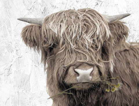 Theodore White Modern Wood Framed Art Print with Double Matting by Sommers, Mindy