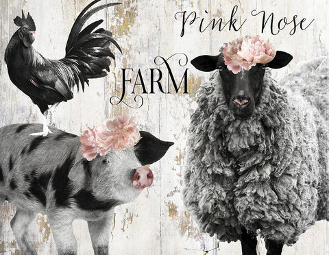 Pink Nose Farm II Black Ornate Wood Framed Art Print with Double Matting by Sommers, Mindy