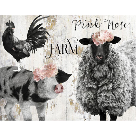Pink Nose Farm II Black Modern Wood Framed Art Print with Double Matting by Sommers, Mindy