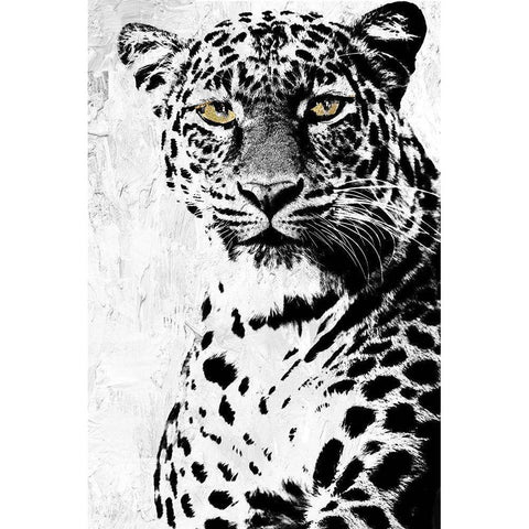 Big Cat Gold Ornate Wood Framed Art Print with Double Matting by Sommers, Mindy