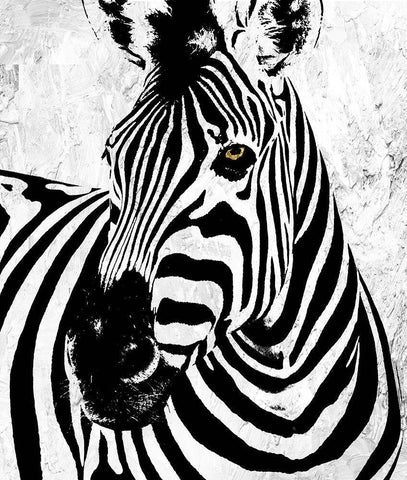 Zebra White Modern Wood Framed Art Print with Double Matting by Sommers, Mindy