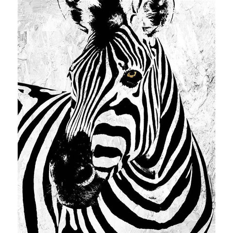 Zebra Black Modern Wood Framed Art Print by Sommers, Mindy